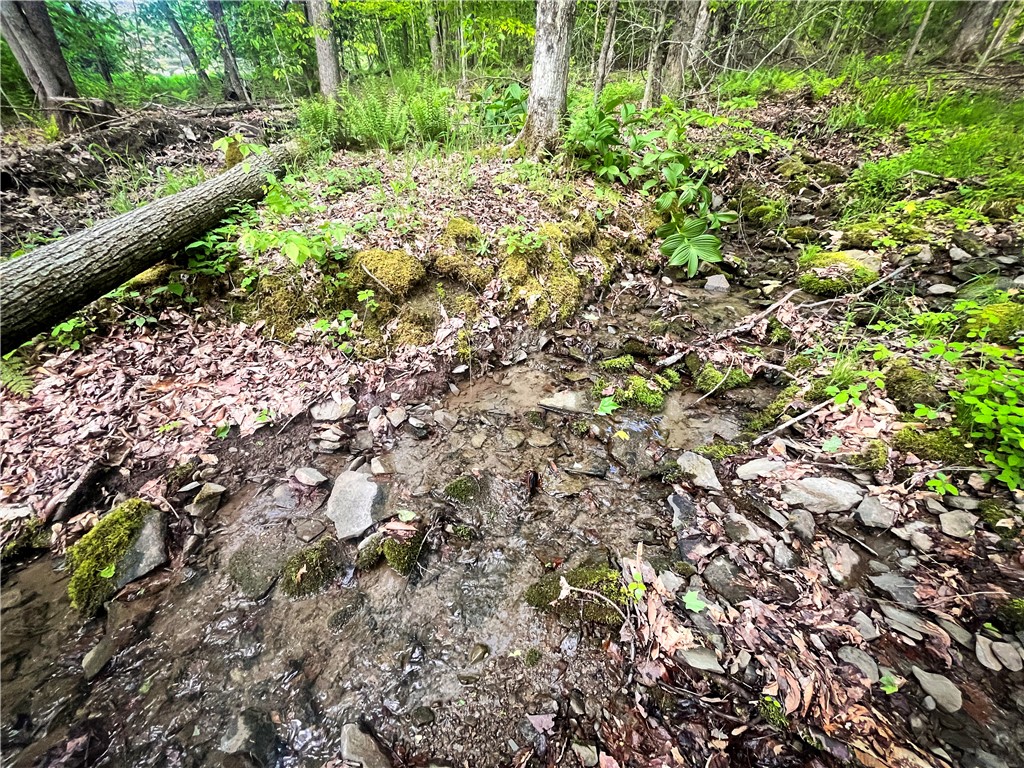 Hubby Road, Richford, New York image 29