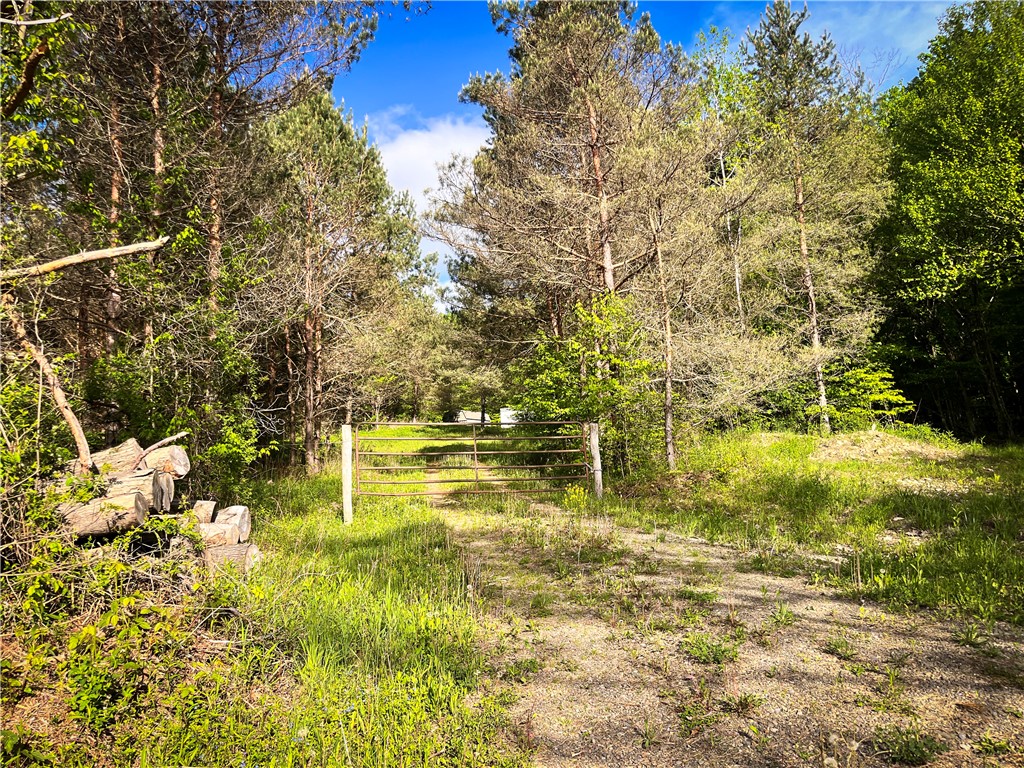 Hubby Road, Richford, New York image 15
