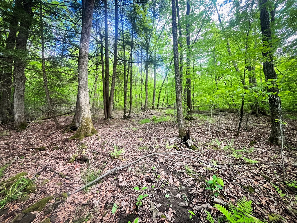 Hubby Road, Richford, New York image 30