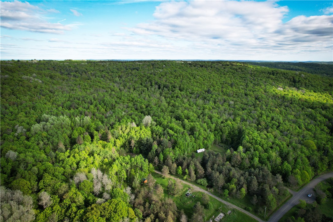 Hubby Road, Richford, New York image 44