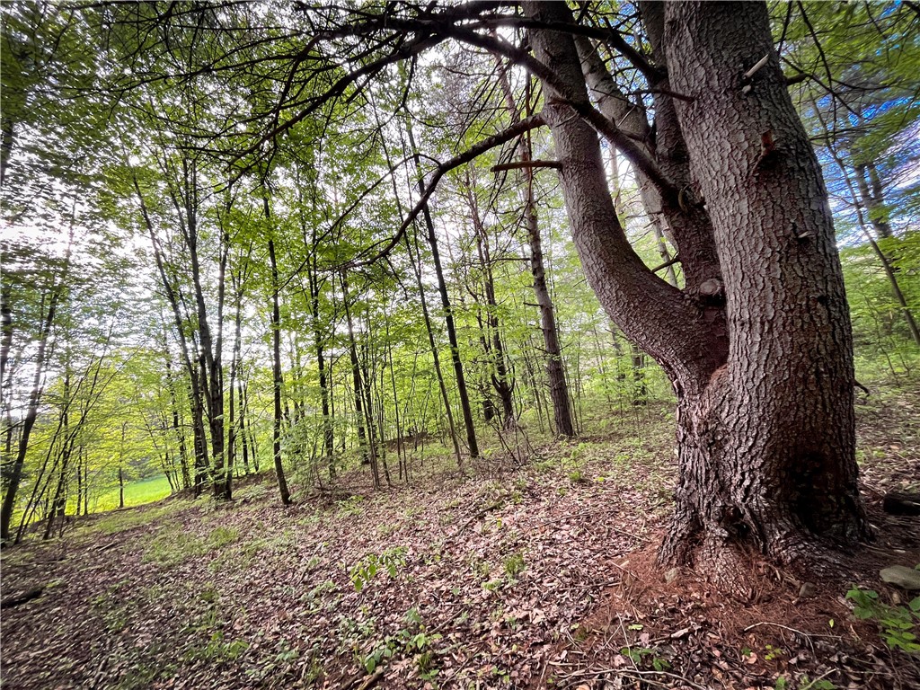Hubby Road, Richford, New York image 40