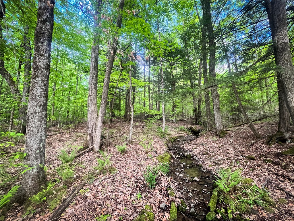 Hubby Road, Richford, New York image 31