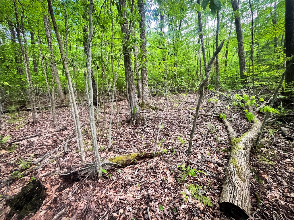 Hubby Road, Richford, New York image 23