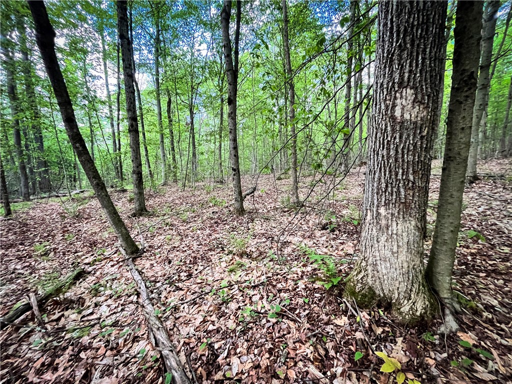 Hubby Road, Richford, New York image 35