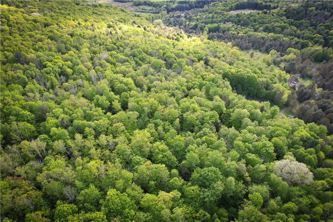 Hubby Road, Richford, New York image 28
