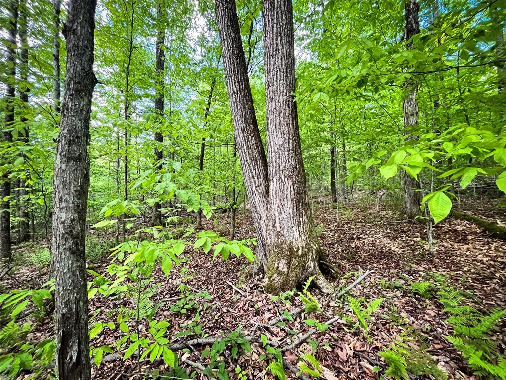 Hubby Road, Richford, New York image 33