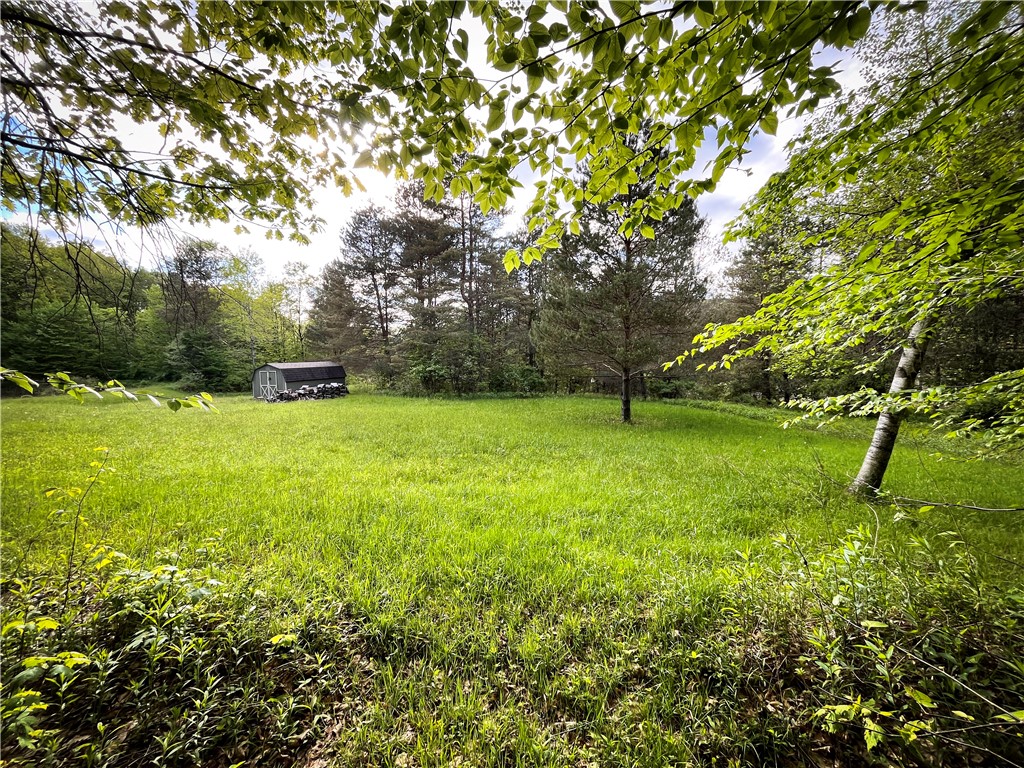 Hubby Road, Richford, New York image 12