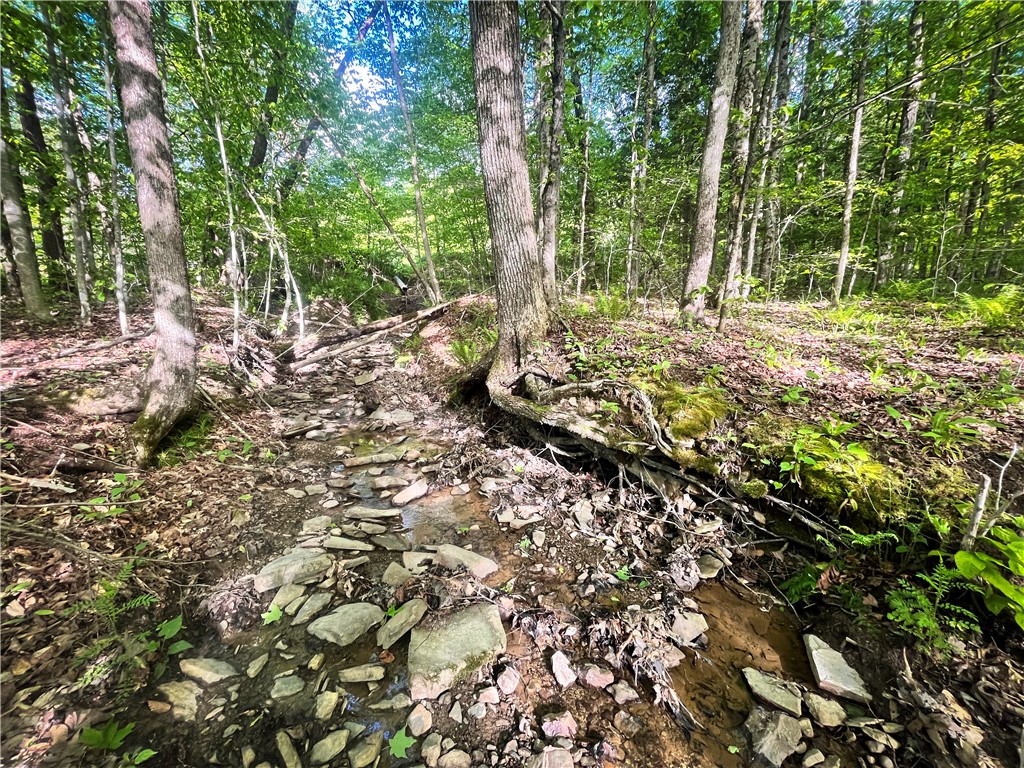 Hubby Road, Richford, New York image 17