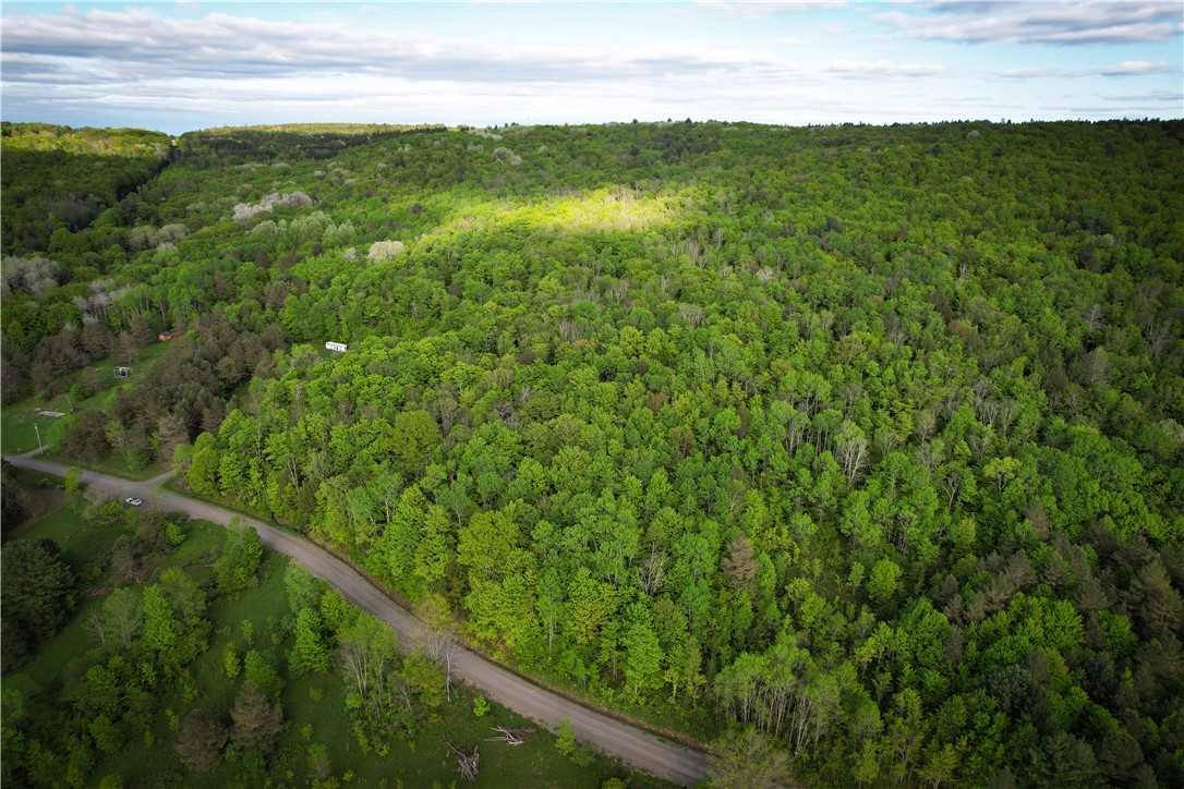 Hubby Road, Richford, New York image 2