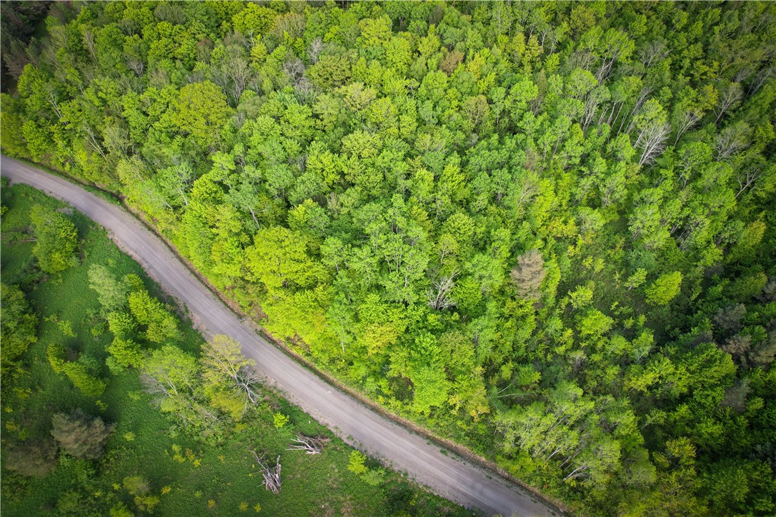 Hubby Road, Richford, New York image 3