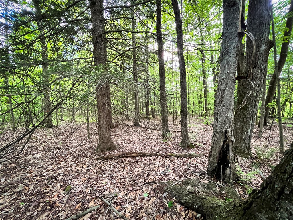 Hubby Road, Richford, New York image 39