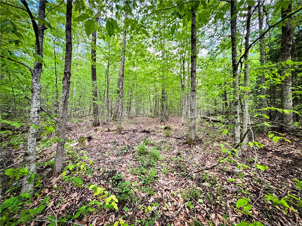 Hubby Road, Richford, New York image 34