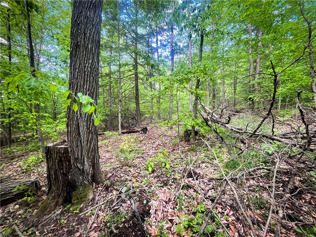 Hubby Road, Richford, New York image 32
