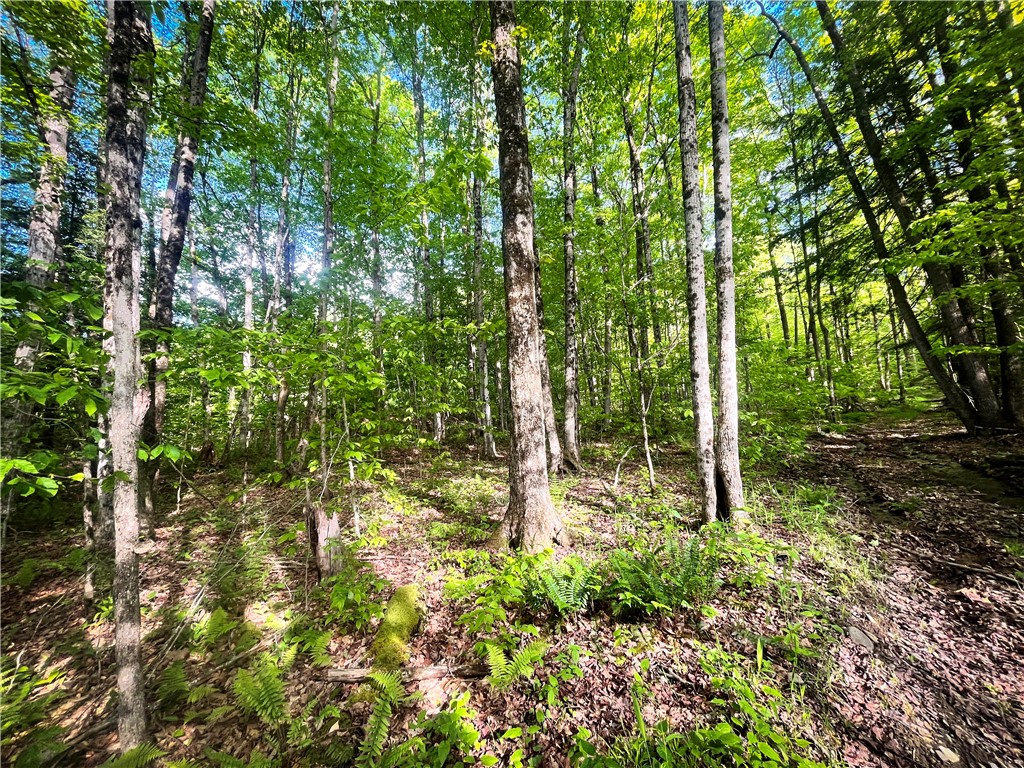 Hubby Road, Richford, New York image 21