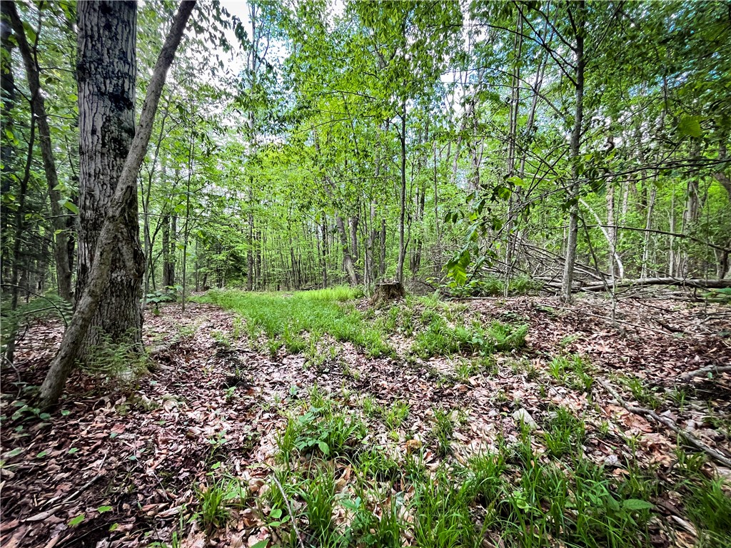 Hubby Road, Richford, New York image 38