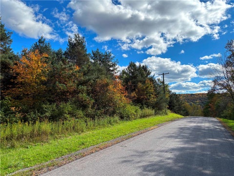 Vacant Land For Sale - LOT #16 Furman Mills Road<br/> Chenango County, Sherburne, NY 13460