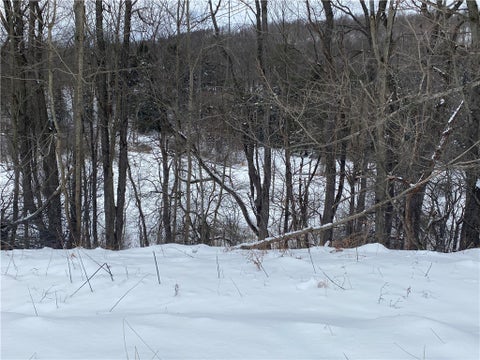 Photo for 8470 Tabors Corner Road