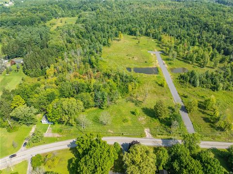 Vacant Land For Sale - LOT 3 Clevenger Rd<br/> Wayne County, Ontario, NY 14519