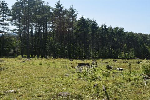 Vacant Land For Sale - LOT 21 Anthony Road<br/> Greene County, Cairo, NY 12413