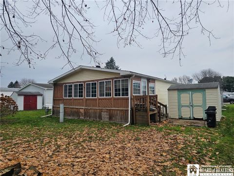 Homes For Sale - 4115 S Nine Mile #101 Rd<br/> Allegany, NY 14706