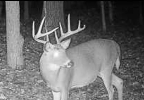 Vacant Land For Sale - Hogback Road<br/> Chemung County, Chemung, NY 14825