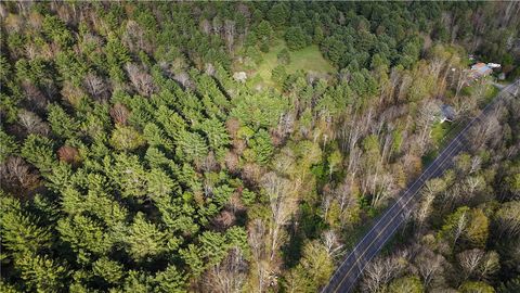 Vacant Land For Sale - Hogback Road<br/> Chemung, NY 14825
