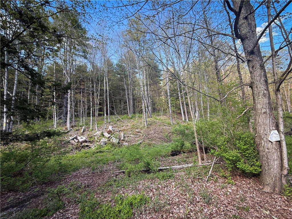 Hogback road