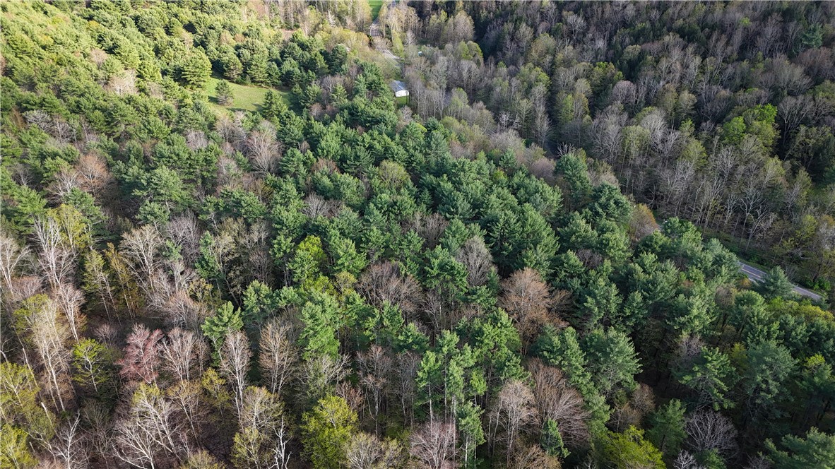 Hogback road