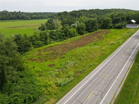 Tiny photo for 0 State Route 88 N, Arcadia, NY 14513 (MLS # R1700980)