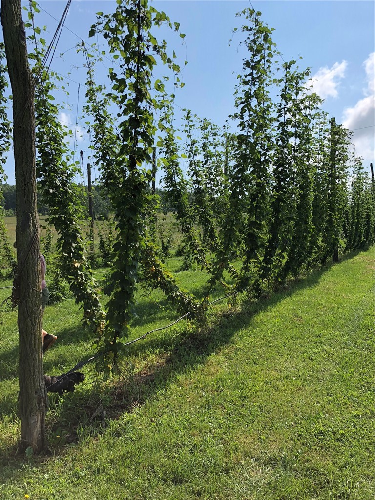Photo 1 of 9 — 168 Kittle Rd Road, Lindley, NY 14858