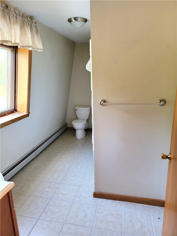 3530 Coats Road, Hector, New York image 45