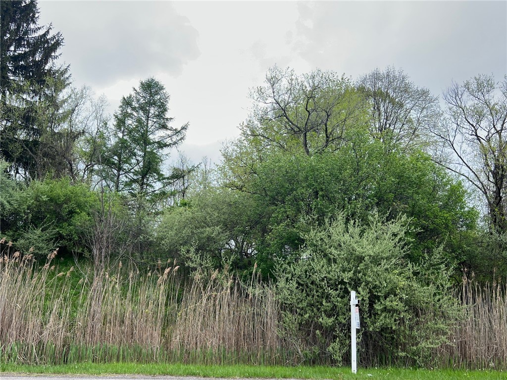 1096 Rush-hen Town Line Road, Rush, New York image 3