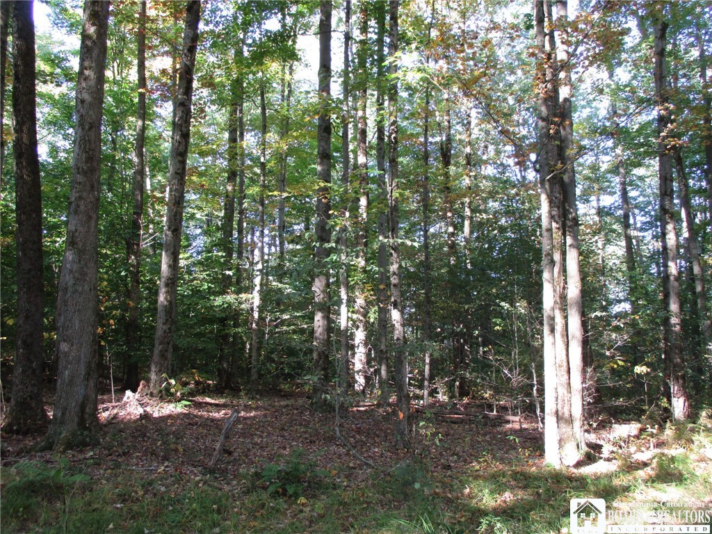0 county rd 5