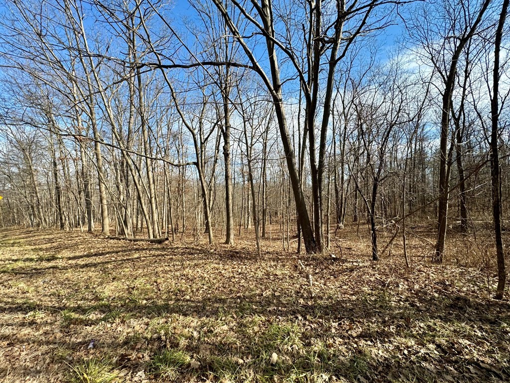 0 Belle Cornell/State Route 414 Drive