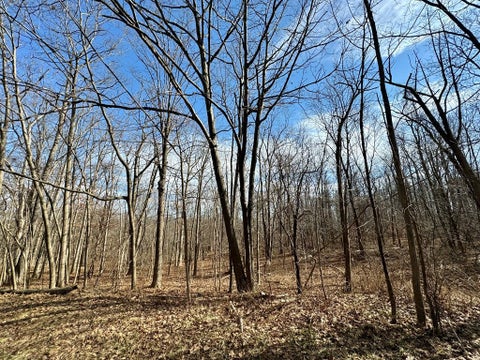 Photo for 0 Belle Cornell/State Route 414 Drive