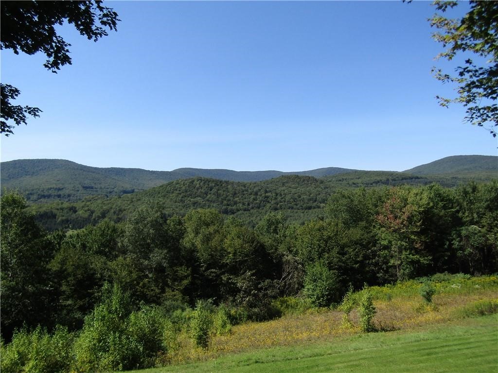 154 Hunters Lane, Roxbury, New York image 5
