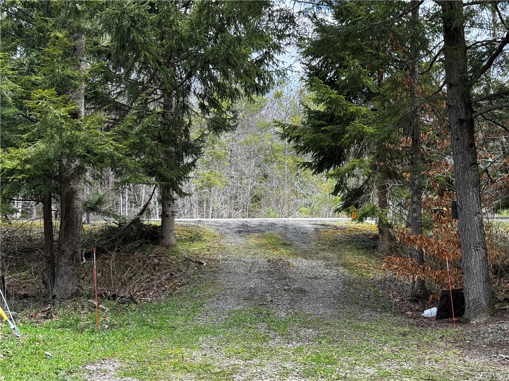 2356 State Highway 220, Mc Donough, New York image 11