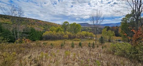 Vacant Land For Sale - Shaver Hollow<br/> Andes, NY 13731