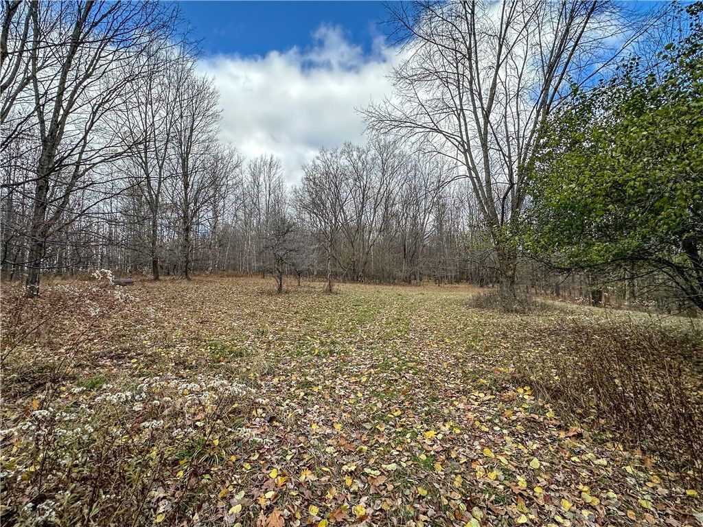 Photo of Trapping Brook Road, Wellsville, NY 14895 (MLS # R1668383)