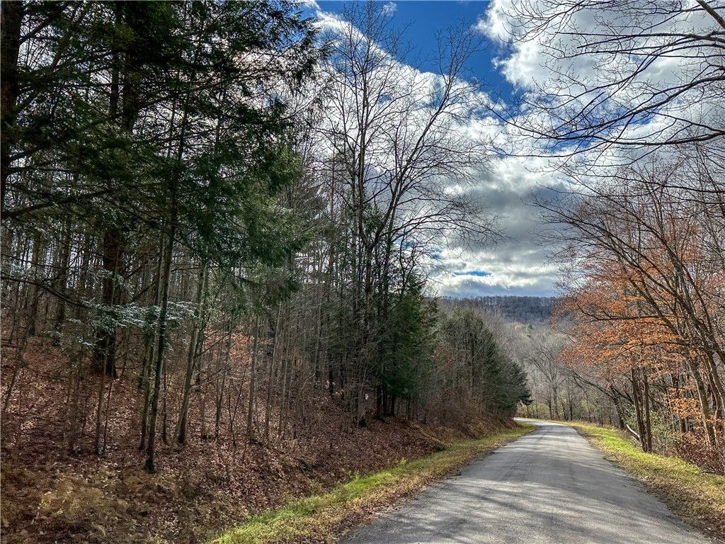 Photo of Trapping Brook Road, Wellsville, NY 14895 (MLS # R1668383)