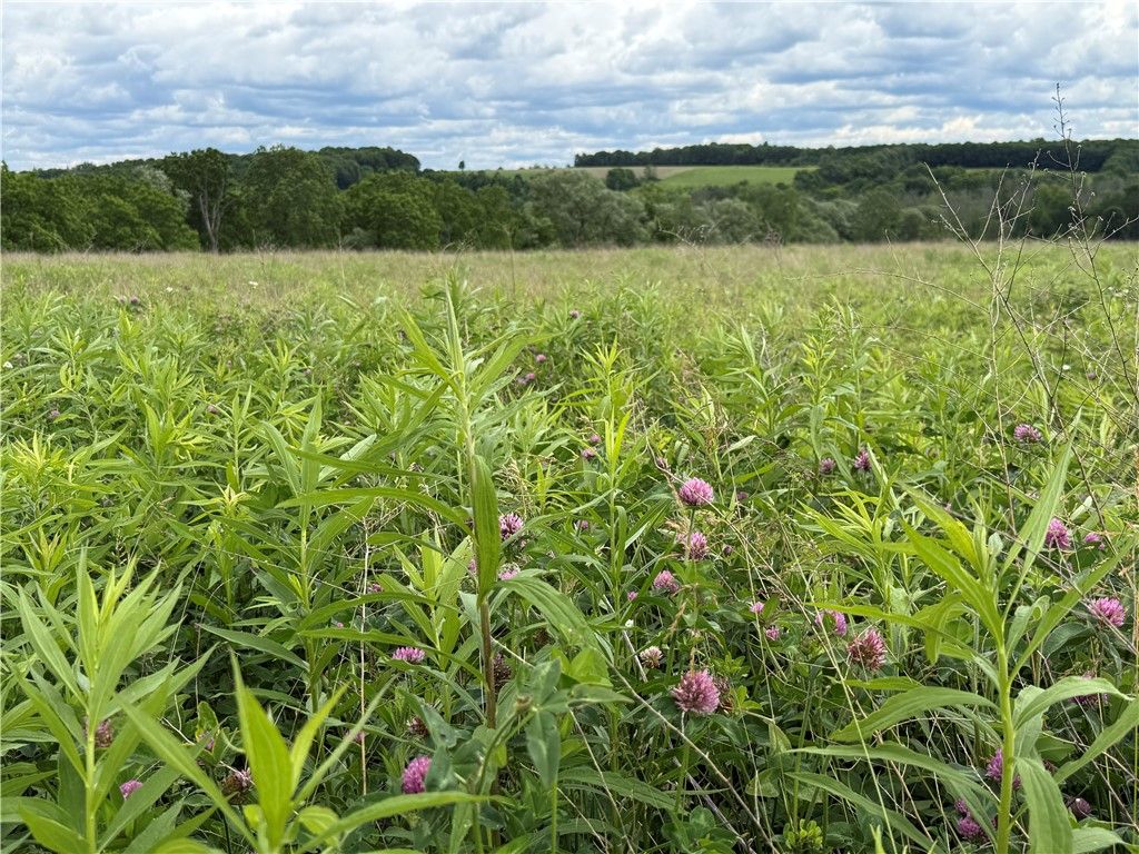 Photo of Tucker Road, Enfield, NY 14886 (MLS # R1693997)