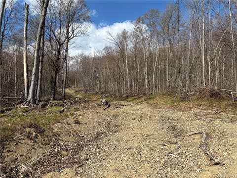 Vacant Land For Sale - Hollenbeck Road<br/> Worcester, NY 12197