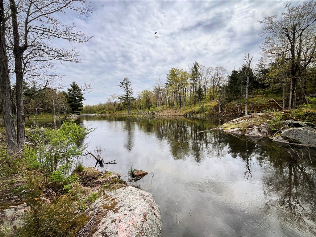 46446 Butterfield Camp Road, Theresa, New York image 33