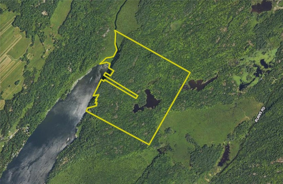 46446 Butterfield Camp Road, Theresa, New York image 44