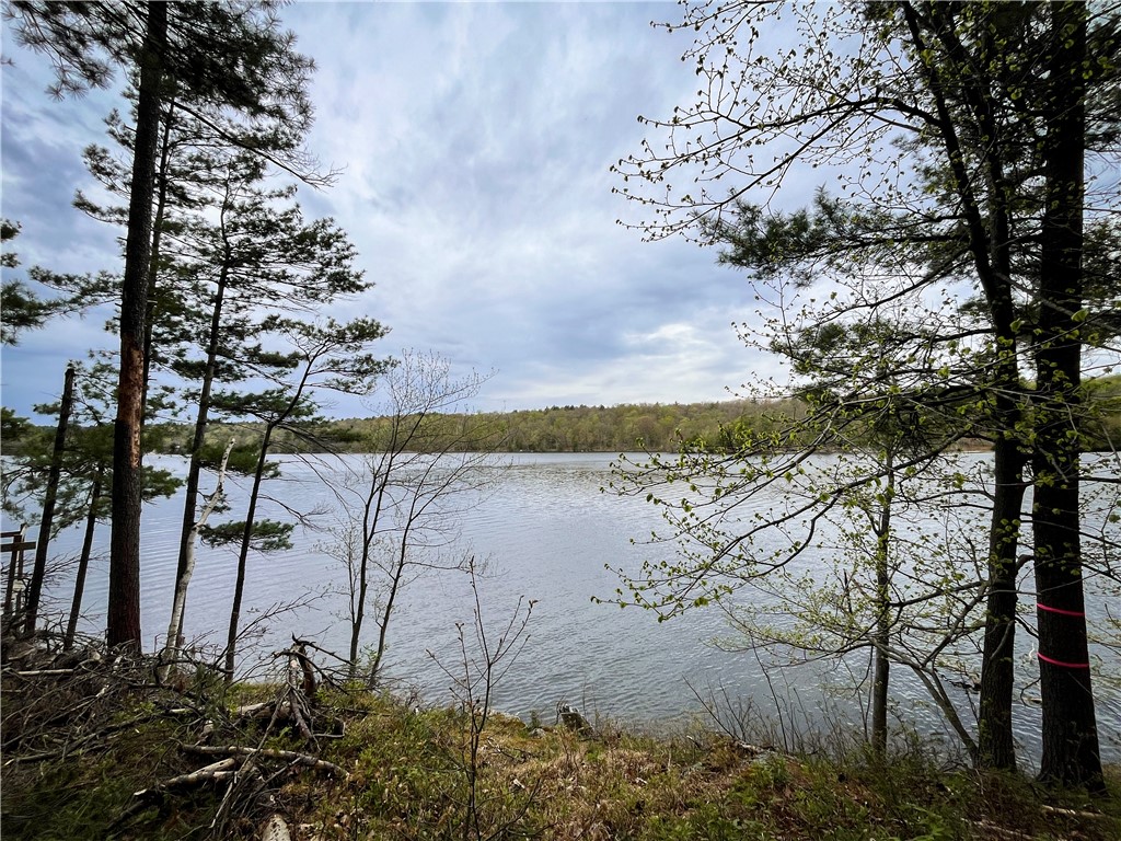 46446 Butterfield Camp Road, Theresa, New York image 11
