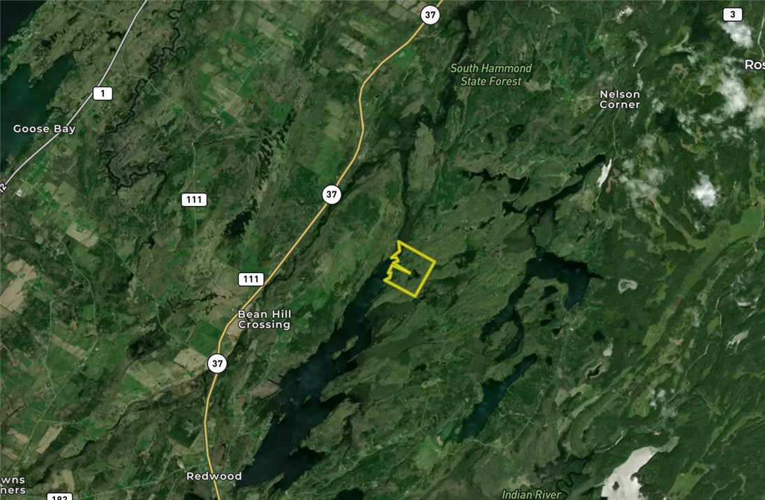 46446 Butterfield Camp Road, Theresa, New York image 49