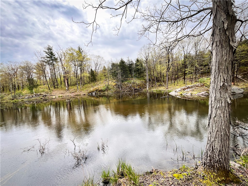 46446 Butterfield Camp Road, Theresa, New York image 32