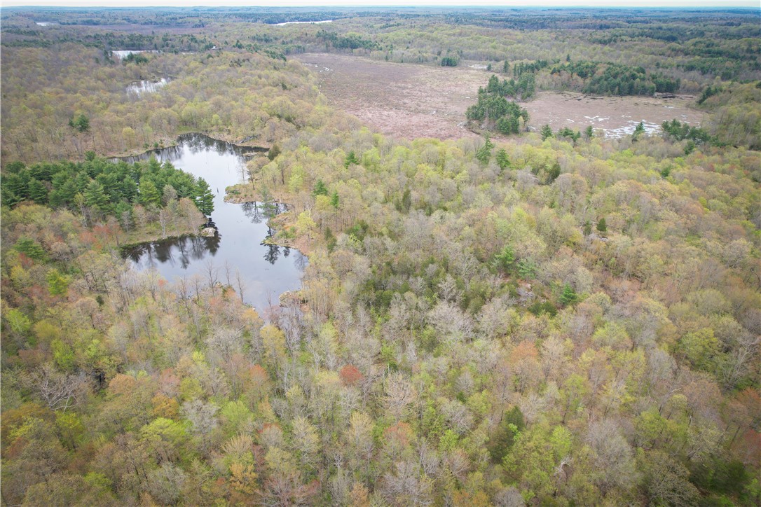 46446 Butterfield Camp Road, Theresa, New York image 30