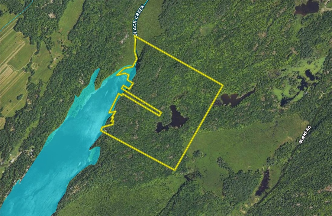 46446 Butterfield Camp Road, Theresa, New York image 46