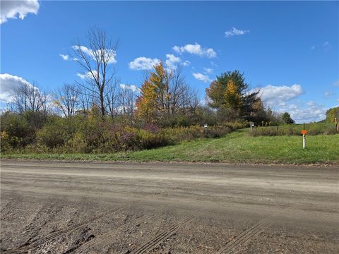 00 Bigelow Hill Road Tyrone NY 14887